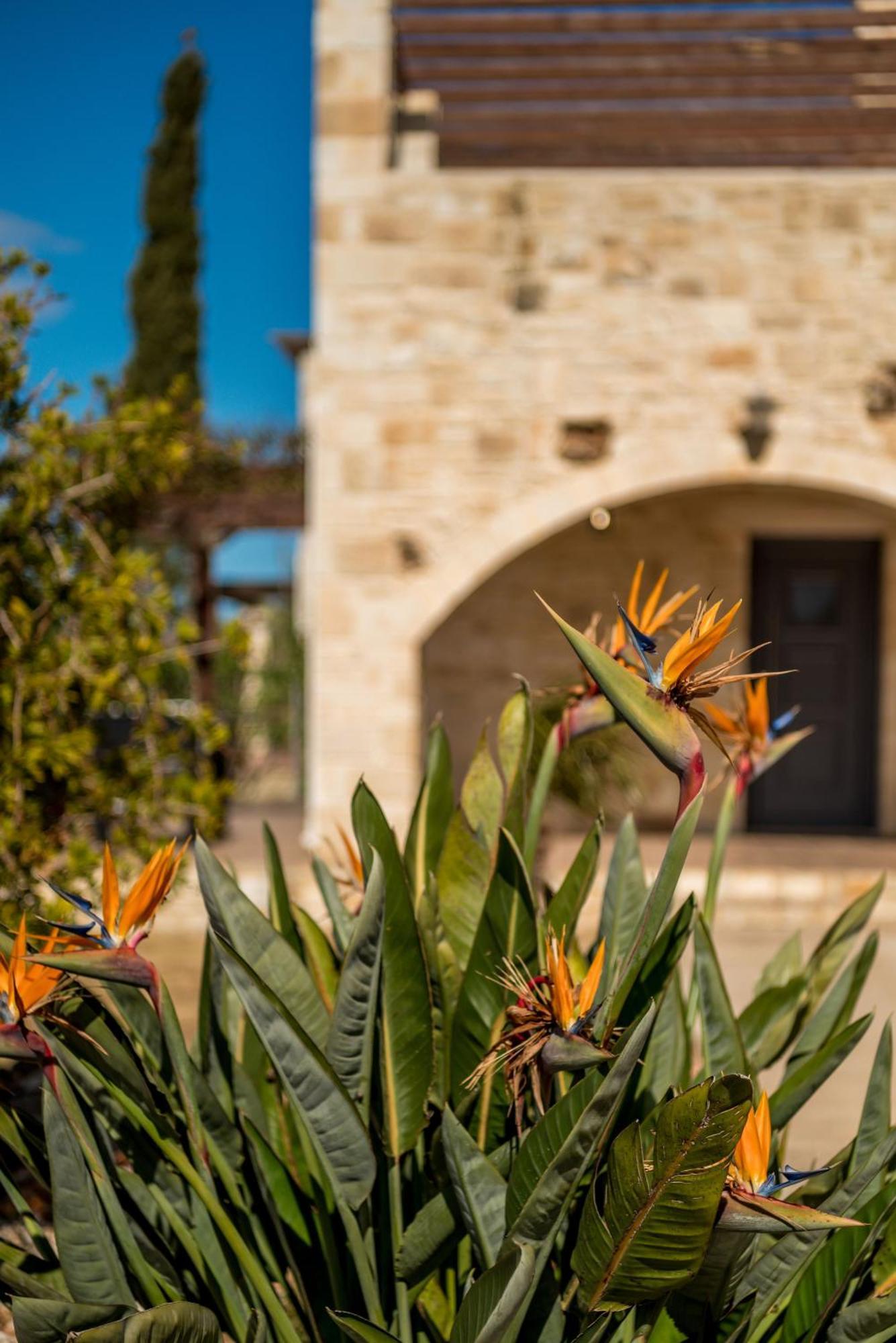 Villa Gloria Seaview - Luxury&Family Kokkino Chorio Esterno foto