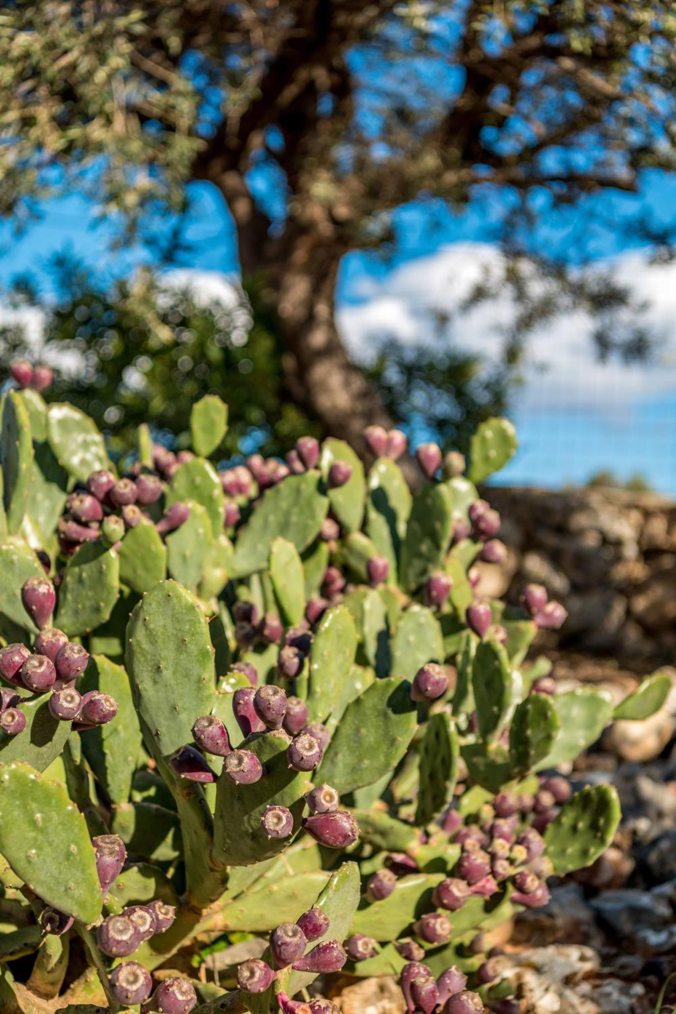 Villa Gloria Seaview - Luxury&Family Kokkino Chorio Esterno foto